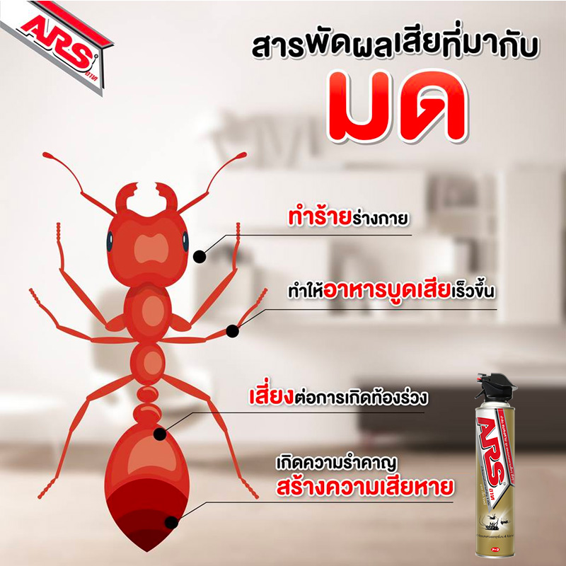 สารพัดผลเสียที่มากับมด