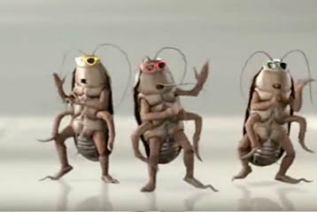ฮอย ฮอย บ้านแมลงสาบ (Hoy Hoy Tray-A-Roach Version.2)