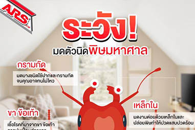 ระวังมดตัวนิดพิษมหาศาล