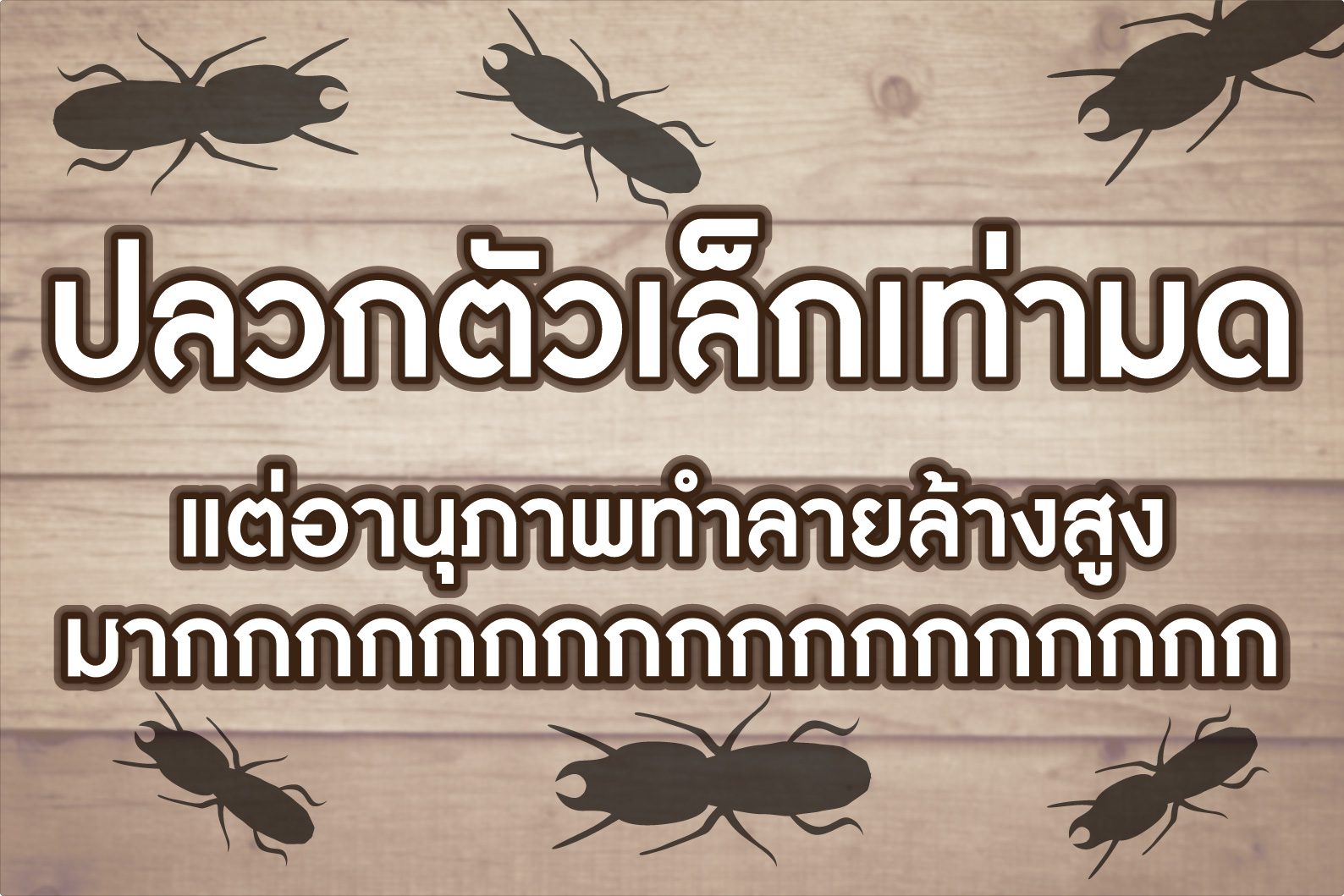 ปลวกตัวเล็กเท่ามด แต่อานุภาพทำลายล้างสูงมากกกกกกกกกกกกกกก