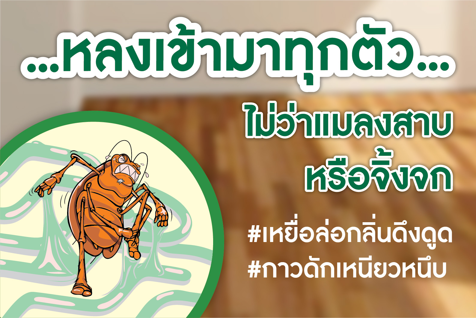 หลงเข้ามาทุกตัวไม่ว่าแมลงสาบหรือจิ้งจก เหยื่อล่อกลิ่นดึงดูด กาวดักเหนียวหนึบ