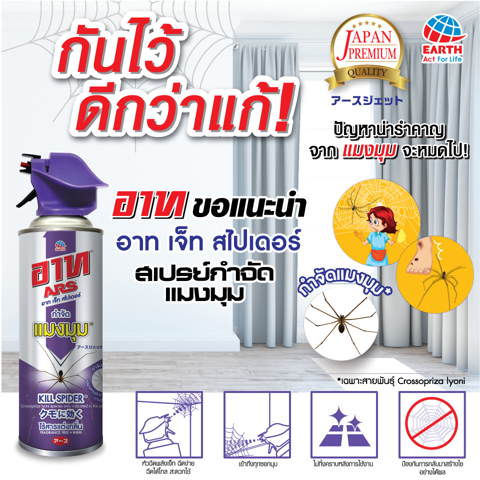 กำจัดแมงมุม…ไม่เหลือแม้เยื่อใย