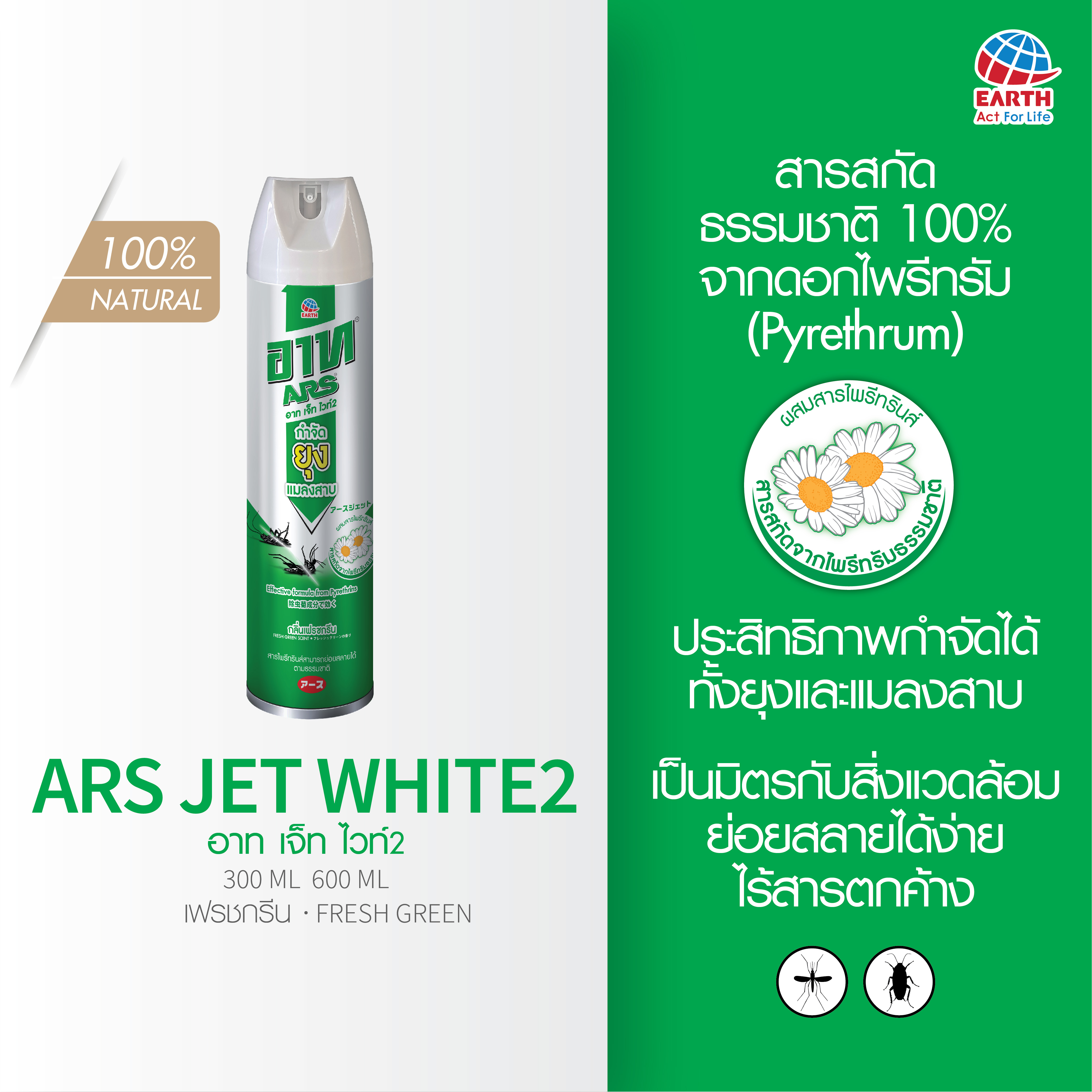 ไพรีทรัม ดอกไม้ไล่ยุง…….มหัศจรรย์จากธรรมชาติ