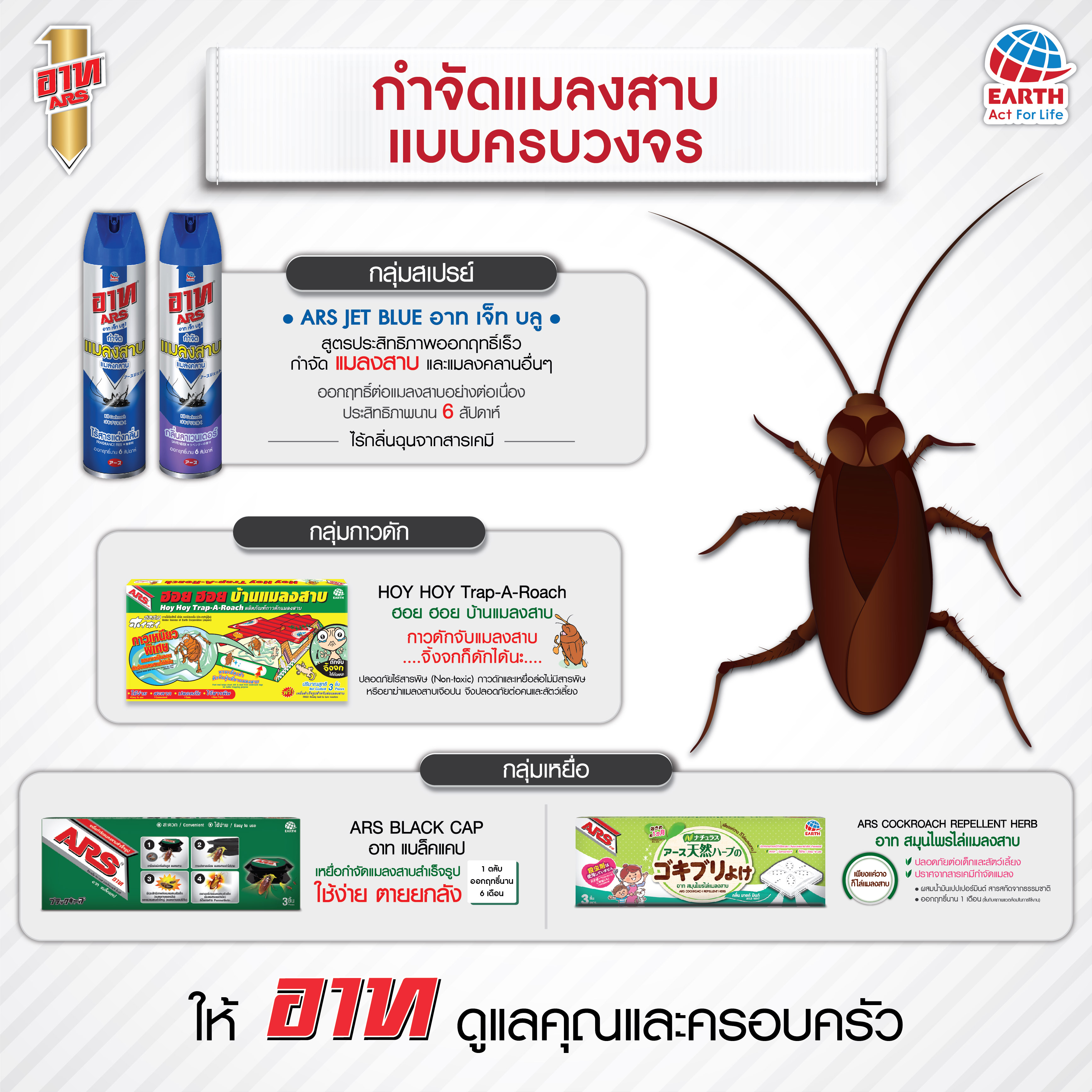 แมลงสาบ เจ้าวายร้ายในบ้านเรือน