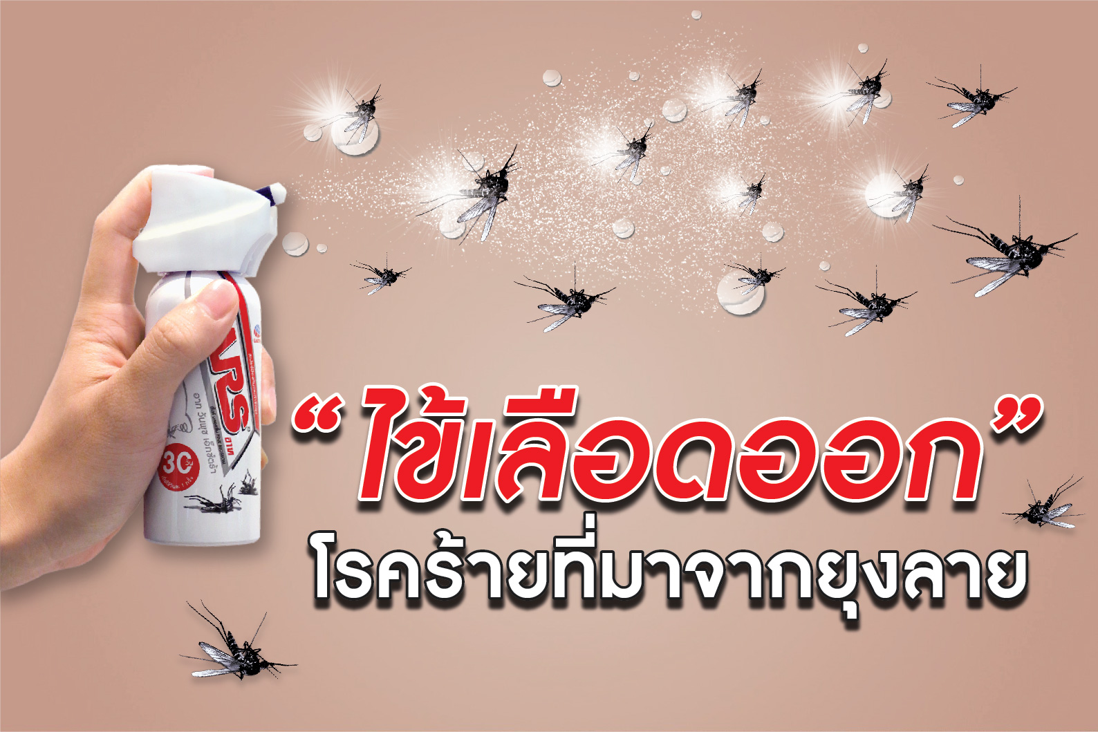 หยุด!!! การแพร่กระจาย โรคไข้เลือดออก