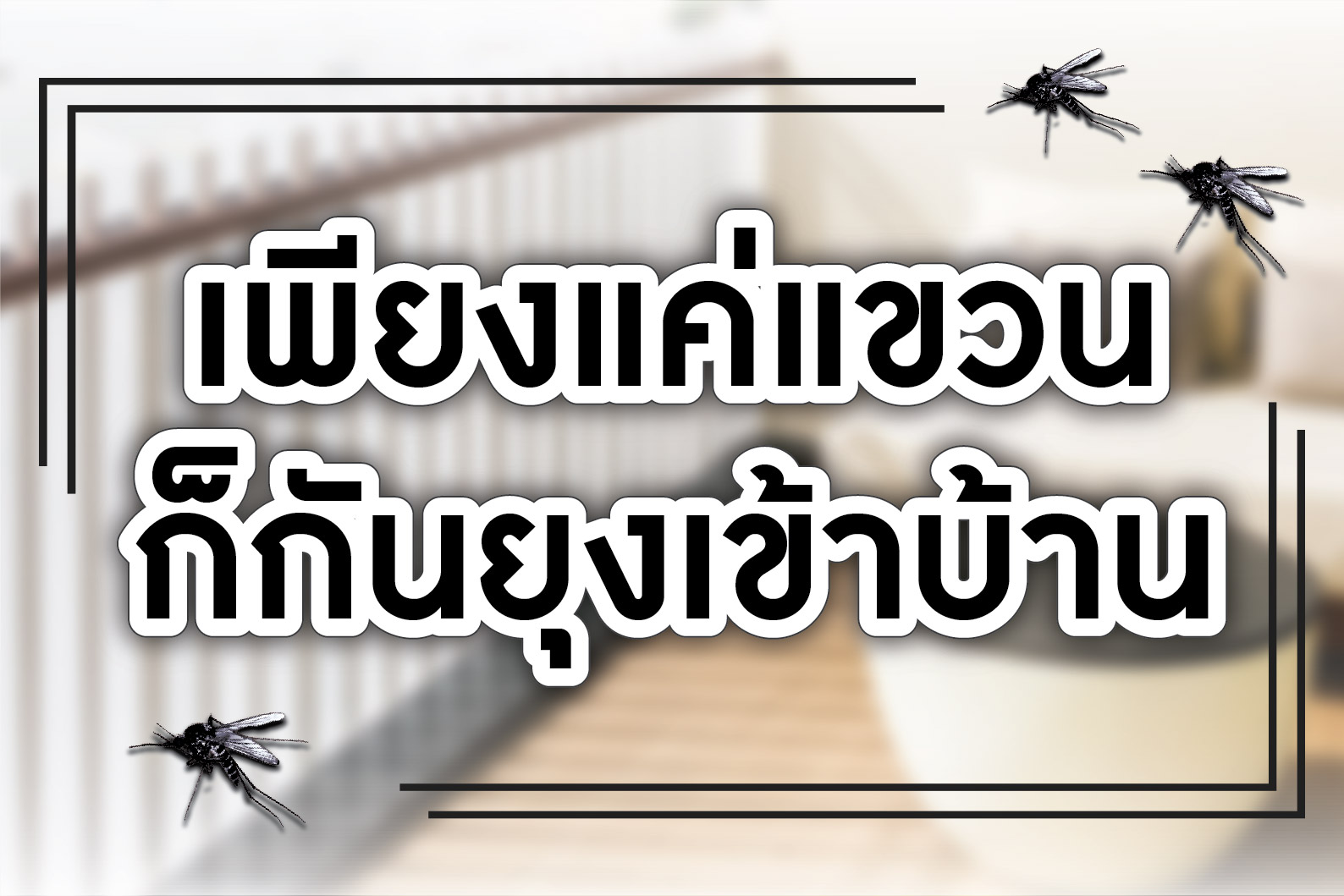 รู้หรือไม่? วิธีไล่ยุง ไม่ได้มีแค่ยากันยุงหรือสเปรย์ฉีดยุง