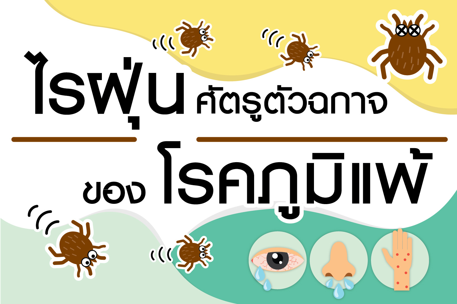ข้อเท็จจริงของไรฝุ่นกับภูมิแพ้