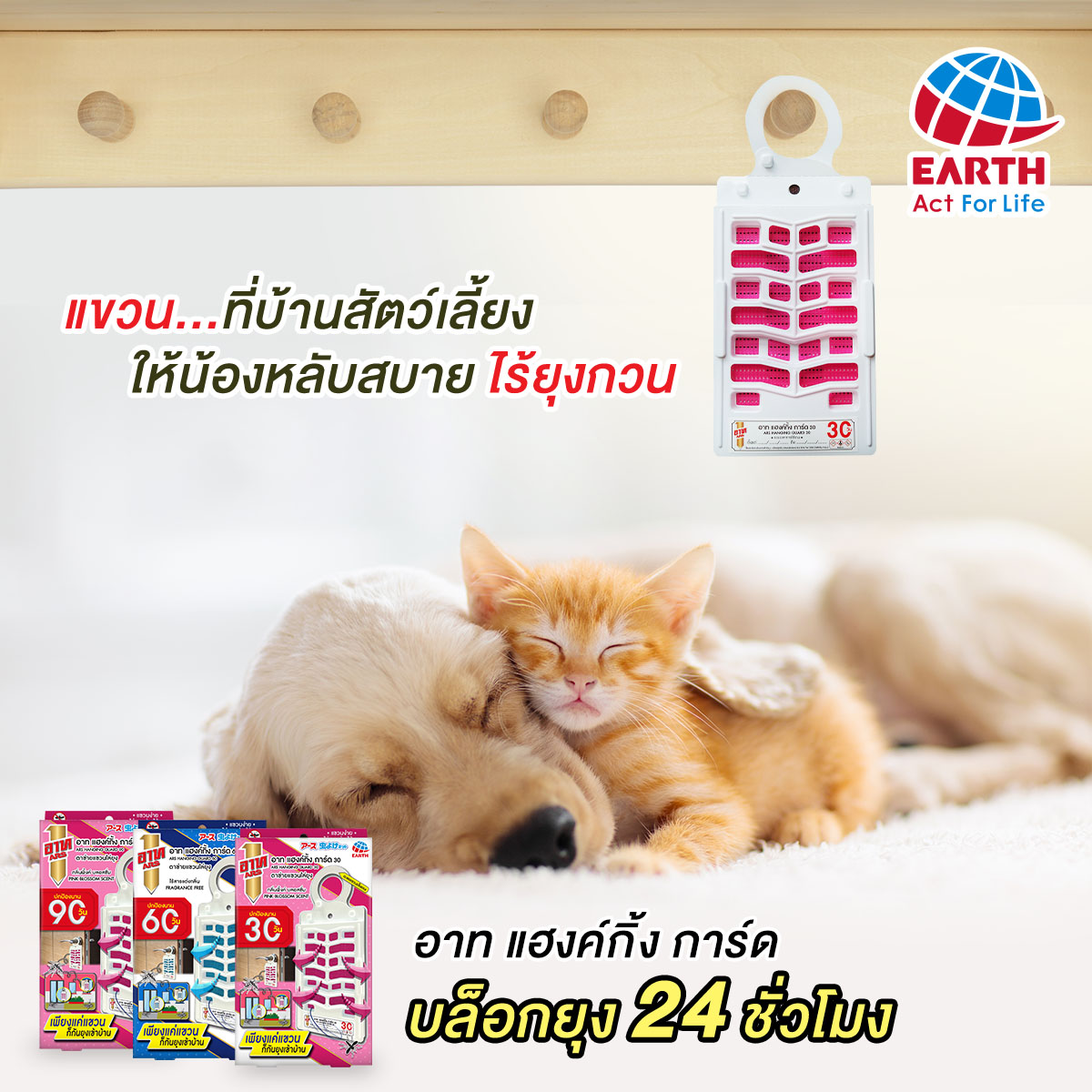รู้ทัน 3 โรคฮิตในสัตว์เลี้ยง ที่เกิดจากยุงตัวร้าย