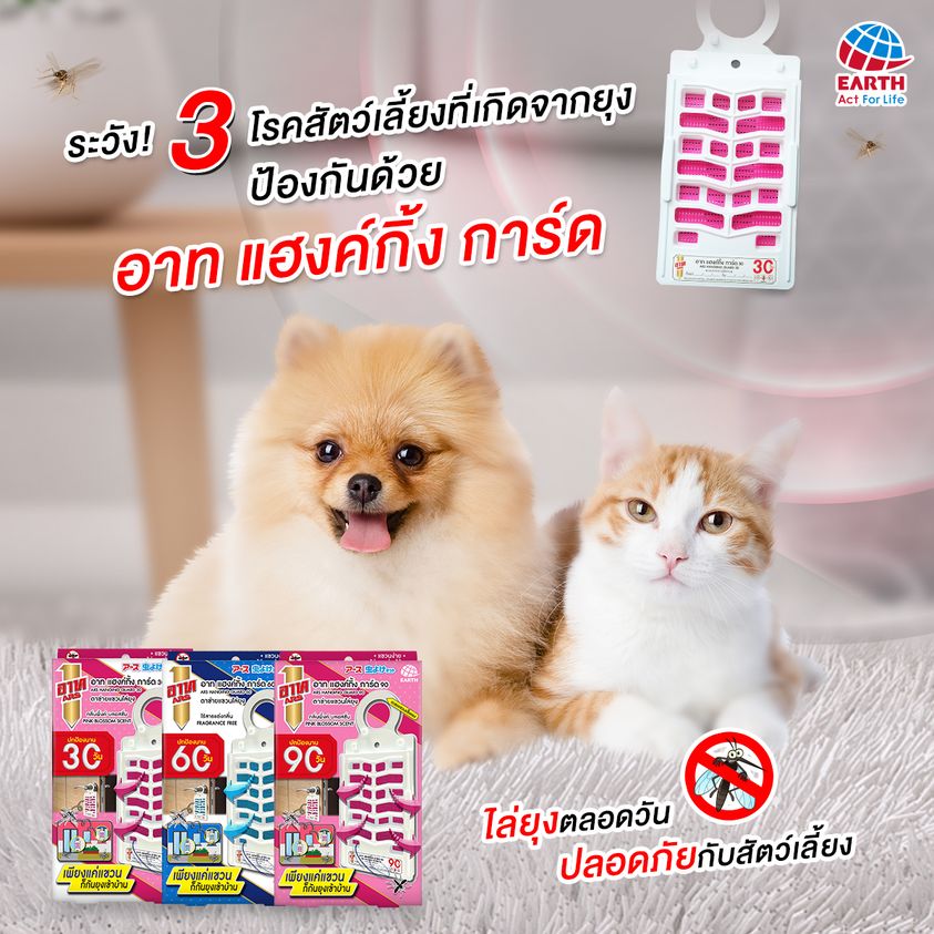 รู้ทัน 3 โรคฮิตในสัตว์เลี้ยง ที่เกิดจากยุงตัวร้าย