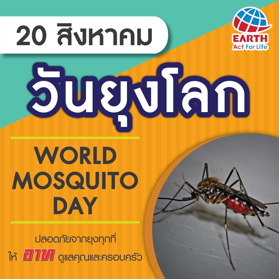 20 สิงหาคม วันยุงโลก