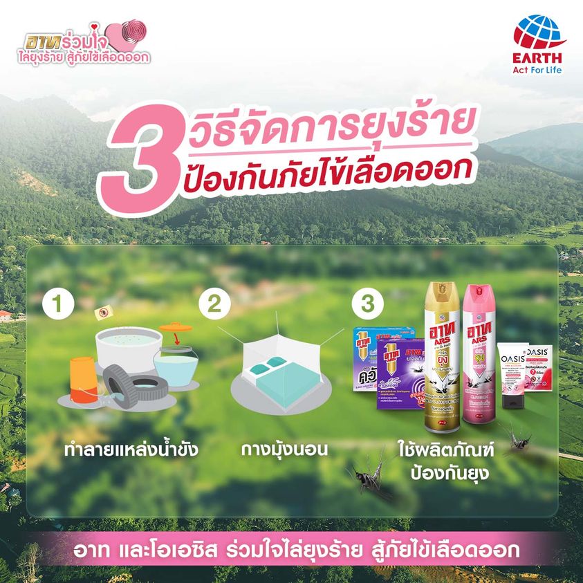 3 วิธีจัดการยุงร้าย ป้องกันภัยไข้เลือดออก